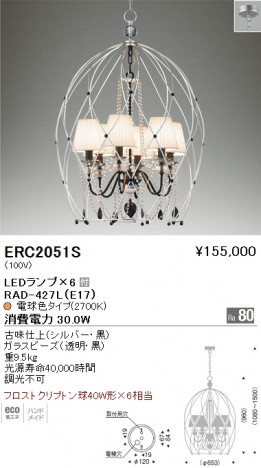 ��ƣ���� ENDO LED �����ǥꥢ ERC2051S �ᥤ��̿�