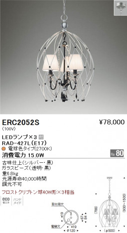 ��ƣ���� ENDO LED �����ǥꥢ ERC2052S �ᥤ��̿�