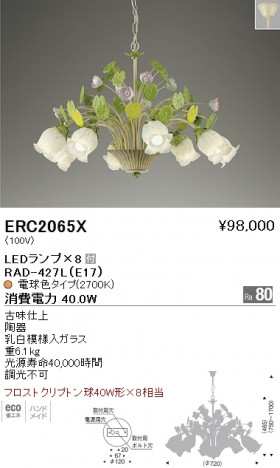 ��ƣ���� ENDO LED �����ǥꥢ ERC2065X �ᥤ��̿�