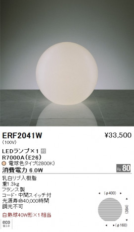 ��ƣ���� ENDO LED ������� ERF2041W �ᥤ��̿�