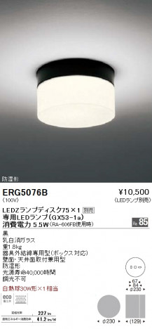 ��ƣ���� ENDO LED �Х��饤�� ERG5076B �ᥤ��̿�