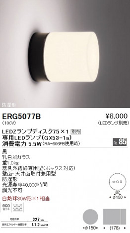 ��ƣ���� ENDO LED �Х��饤�� ERG5077B �ᥤ��̿�