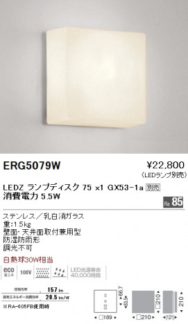 ��ƣ���� ENDO LED �����ȥɥ� ERG5079W �ᥤ��̿�