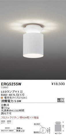 ��ƣ���� ENDO LED ������� ERG5255W �ᥤ��̿�