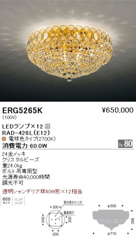 ƣ ENDO LED  ERG5265K ᥤ̿