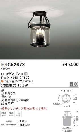 ��ƣ���� ENDO LED ������� ERG5267X �ᥤ��̿�