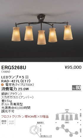 ��ƣ���� ENDO LED ������� ERG5268U �ᥤ��̿�