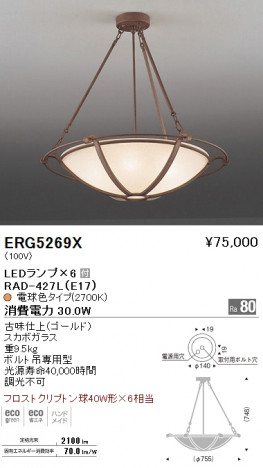 ��ƣ���� ENDO LED ������� ERG5269X �ᥤ��̿�