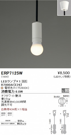 ��ƣ���� ENDO LED �ڥ����� ERP7125W �ᥤ��̿�