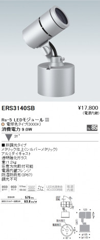 ��ƣ���� ENDO LED �����ȥɥ� ERS3140SB �ᥤ��̿�