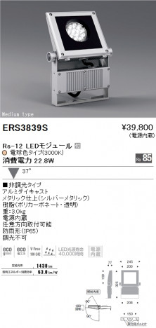 ��ƣ���� ENDO LED �����ȥɥ� ERS3839S �ᥤ��̿�