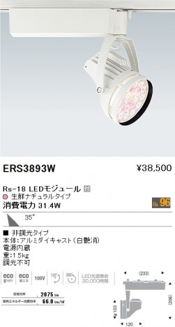 ��ƣ���� ENDO LED ���ݥåȥ饤�� ERS3893W �ᥤ��̿�