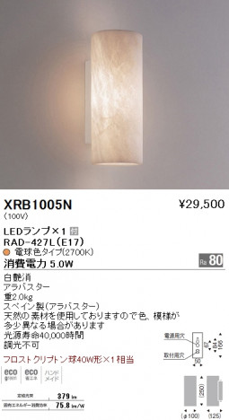 ��ƣ���� ENDO LED �֥饱�å� XRB1005N �ᥤ��̿�