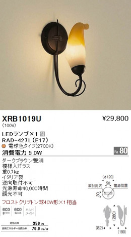 ��ƣ���� ENDO LED �֥饱�å� XRB1019U �ᥤ��̿�