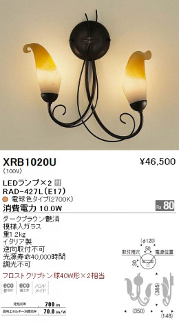 ƣ ENDO LED ֥饱å XRB1020U ᥤ̿