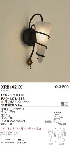��ƣ���� ENDO LED �֥饱�å� XRB1021X �ᥤ��̿�