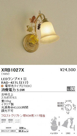 ��ƣ���� ENDO LED �֥饱�å� XRB1027X �ᥤ��̿�