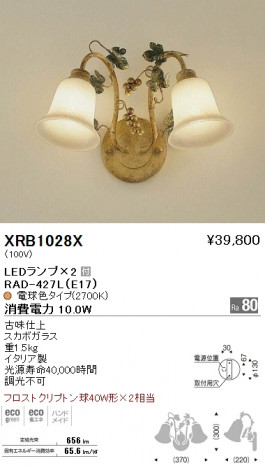 ��ƣ���� ENDO LED �֥饱�å� XRB1028X �ᥤ��̿�