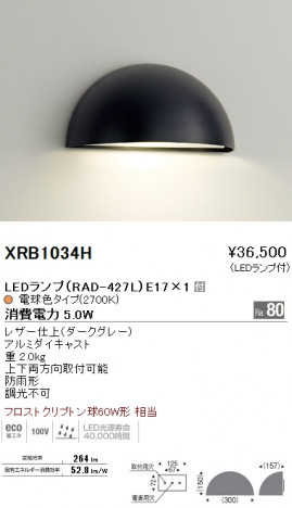 ��ƣ���� ENDO LED �����ȥɥ� XRB1034H �ᥤ��̿�