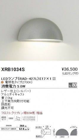 ��ƣ���� ENDO LED �����ȥɥ� XRB1034S �ᥤ��̿�