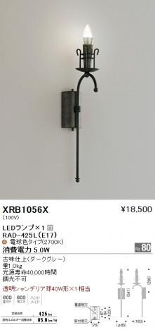 ƣ ENDO LED ֥饱å XRB1056X ᥤ̿