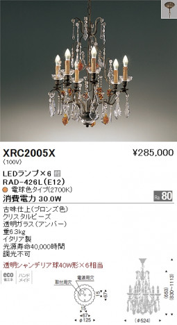 ��ƣ���� ENDO LED �����ǥꥢ XRC2005X �ᥤ��̿�