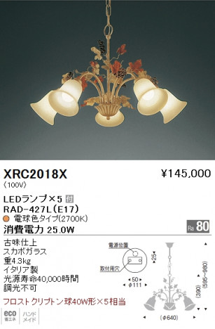 ��ƣ���� ENDO LED �����ǥꥢ XRC2018X �ᥤ��̿�