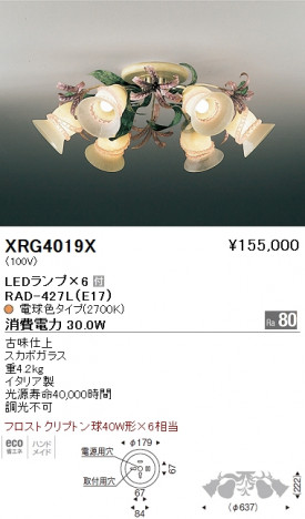 ��ƣ���� ENDO LED �����ǥꥢ XRG4019X �ᥤ��̿�
