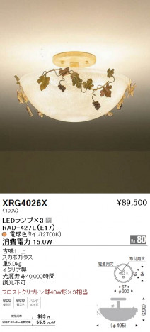 ��ƣ���� ENDO LED ������� XRG4026X �ᥤ��̿�