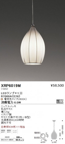 ��ƣ���� ENDO LED �ڥ����� XRP6019M �ᥤ��̿�