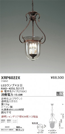 ��ƣ���� ENDO LED �ڥ����� �����ǥꥢ XRP6022X �ᥤ��̿�