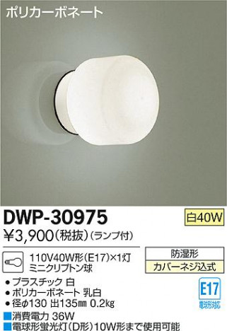 DAIKO ����ŵ� �Ἴ�� �֥饱�å� �����ȥɥ� DWP-30975 �ᥤ��̿�