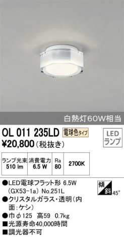 ODELIC �����ǥ�å� ����������󥰥饤�� OL011235LD �ᥤ��̿�