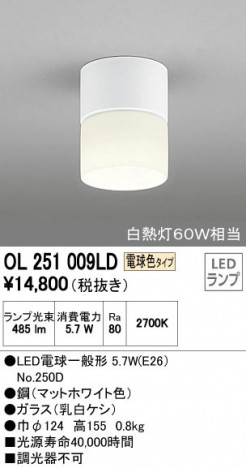 ODELIC �����ǥ�å� ����������󥰥饤�� OL251009LD �ᥤ��̿�