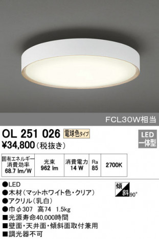 ODELIC ǥå 󥰥饤 OL251026 ᥤ̿