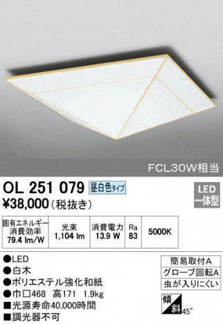 ODELIC �����ǥ�å� ����������󥰥饤�� OL251079 �ᥤ��̿�