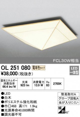 ODELIC �����ǥ�å� ����������󥰥饤�� OL251080 �ᥤ��̿�