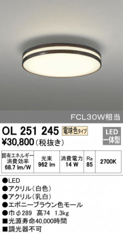 ODELIC ǥå 󥰥饤 OL251245 ᥤ̿