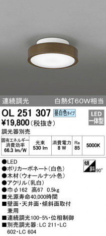 ODELIC �����ǥ�å� ����������󥰥饤�� OL251307 �ᥤ��̿�