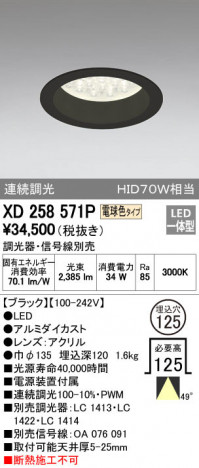 ODELIC �����ǥ�å� ������饤�� XD258571P �ᥤ��̿�