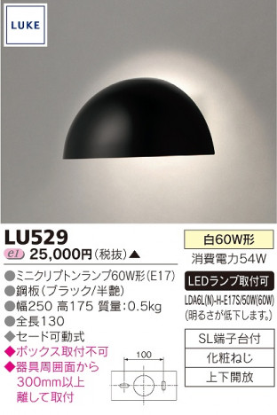 TOSHIBA �֥饱�å� LUKE LU529 �ᥤ��̿�