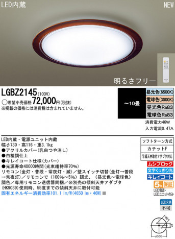 Panasonic LED ������󥰥饤�� LGBZ2145 �ᥤ��̿�