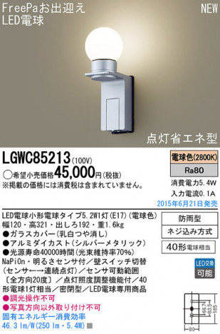 Panasonic LED �������ƥꥢ�������ȥɥ� LGWC85213 �ᥤ��̿�