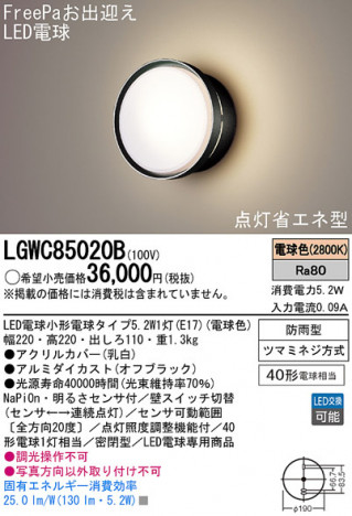 Panasonic LED �������ƥꥢ�������ȥɥ� LGWC85020B �ᥤ��̿�