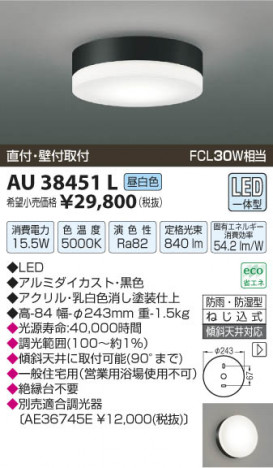 �������߾��� KOIZUMI �ɱ��ɼ���������� LED AU38451L ���β���