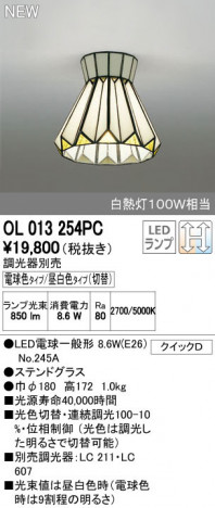 ODELIC �����ǥ�å� ����������󥰥饤�� OL013254PC ñ�ʲ���