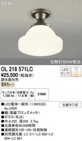 ODELIC �����ǥ�å� ����������󥰥饤�� OL218571LC ñ�ʲ���