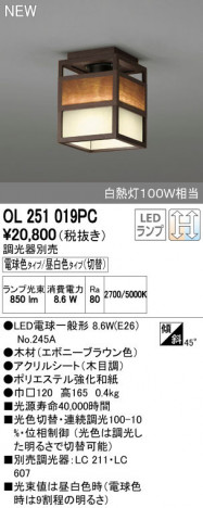 ODELIC �����ǥ�å� ����������󥰥饤�� OL251019PC ñ�ʲ���