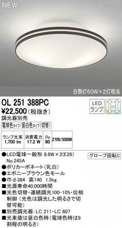 ODELIC �����ǥ�å� ����������󥰥饤�� OL251388PC ñ�ʲ���