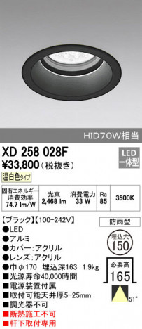 ODELIC ǥå ƥꥢ饤 XD258028F ñʲ